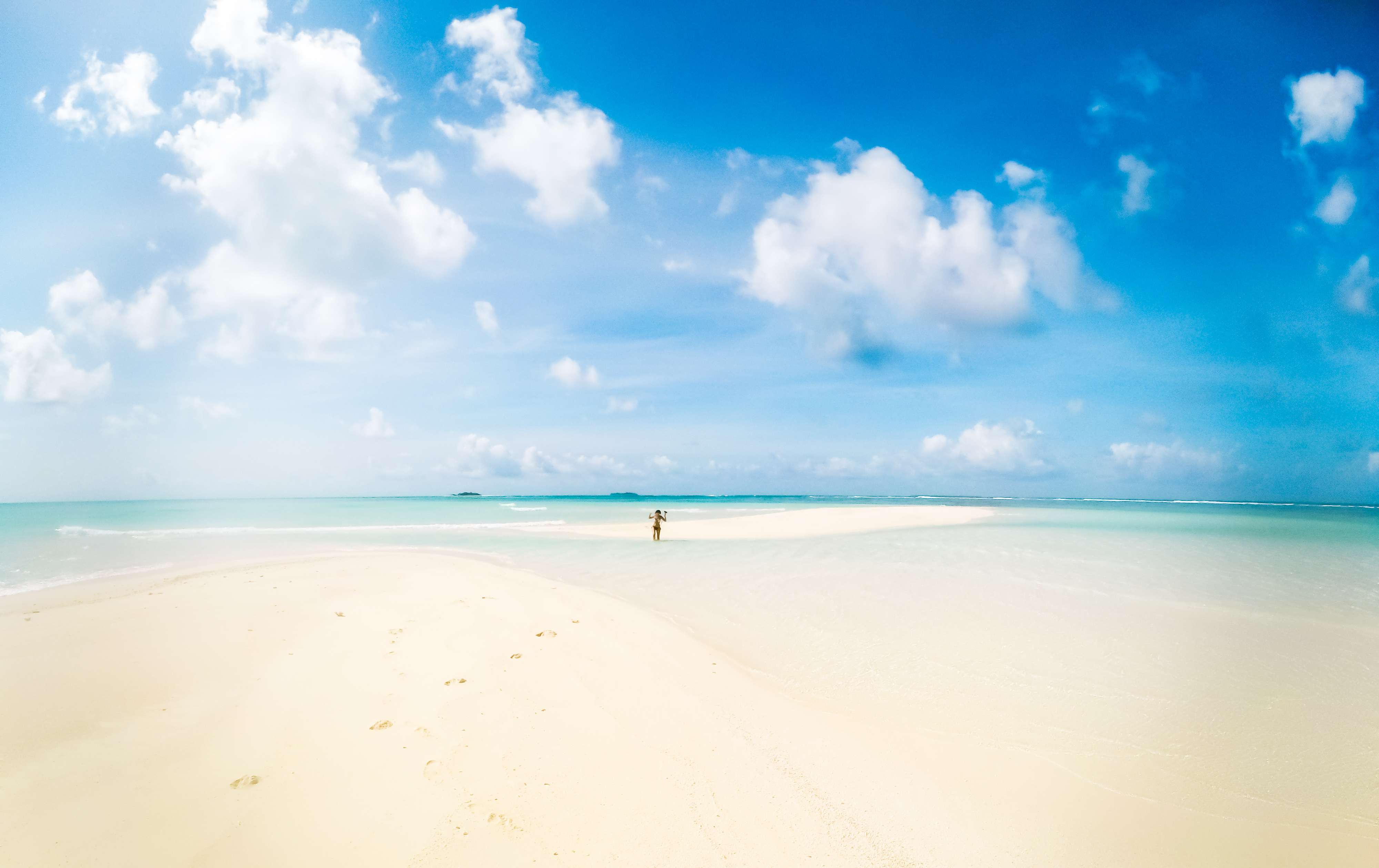 3 In 1 combo: Snorkeling + Sandbank + Local island - Image 8